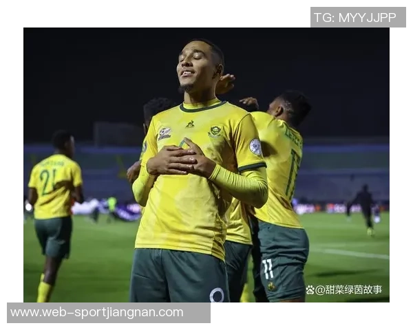 南非主帅批评非洲杯气氛冷淡新球场美观却组织混乱 南非主帅批评非洲杯气氛冷淡新球场美观却组织混乱